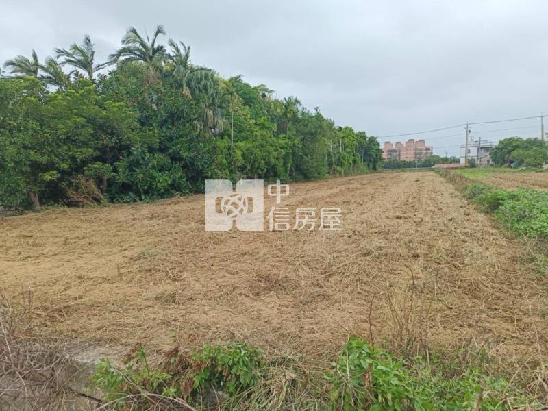 新坡蓮花園區農地房屋室內格局與周邊環境