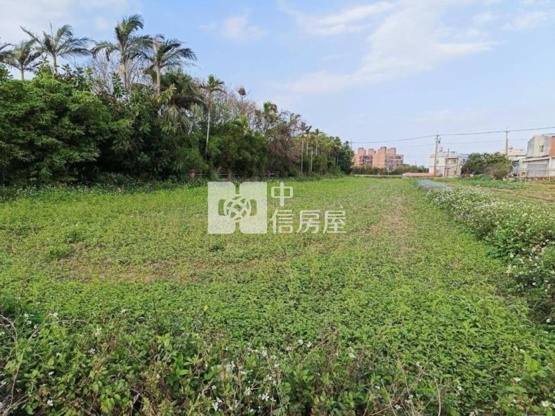 新坡蓮花園區農地房屋室內格局與周邊環境