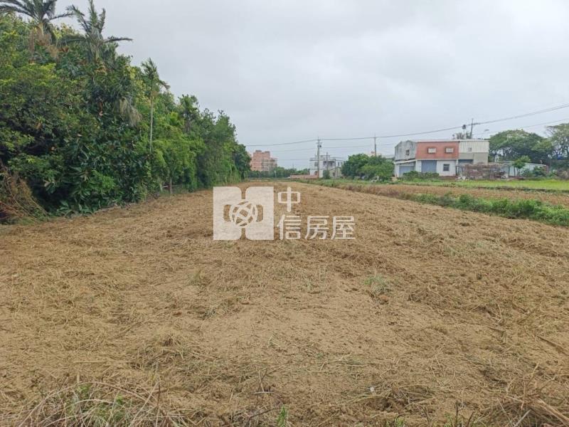 新坡蓮花園區農地房屋室內格局與周邊環境