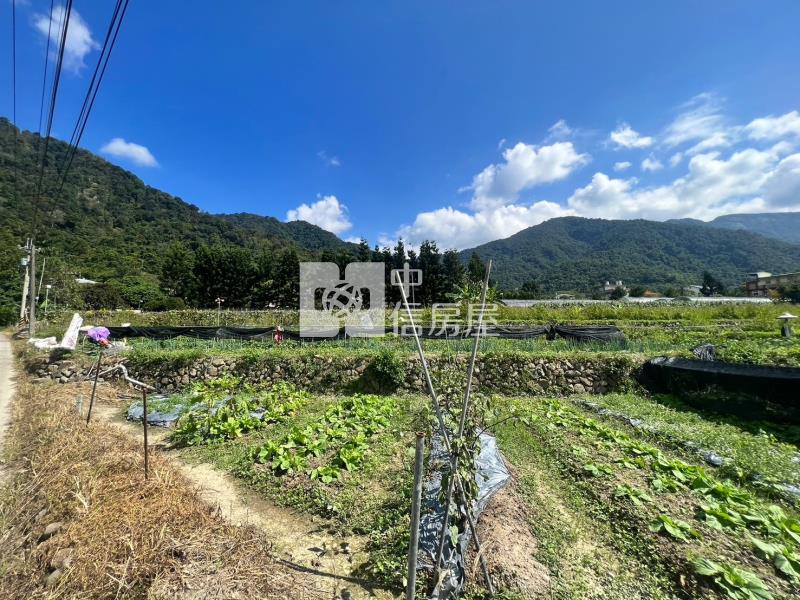 福興面寬2分半房屋室內格局與周邊環境