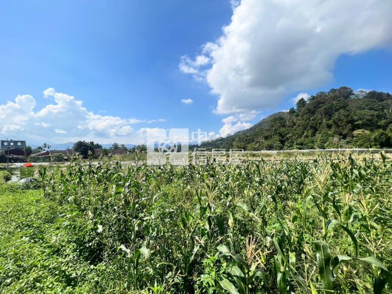 福興面寬2分半房屋室內格局與周邊環境