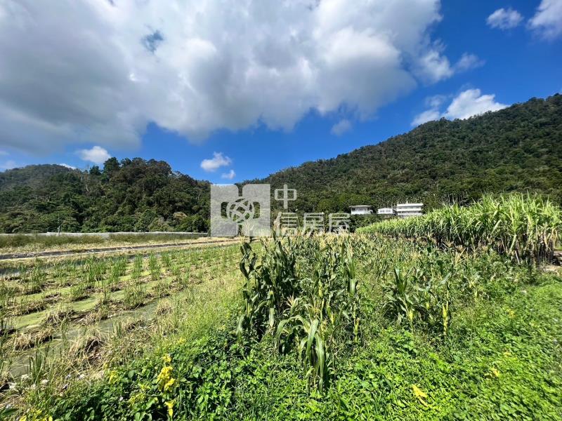 福興面寬2分半房屋室內格局與周邊環境