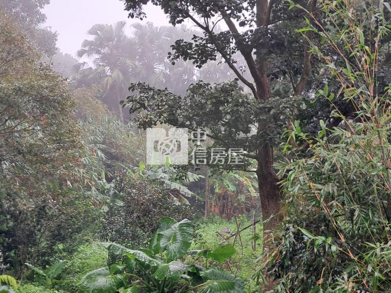 G050龍潭石門土地1906房屋室內格局與周邊環境