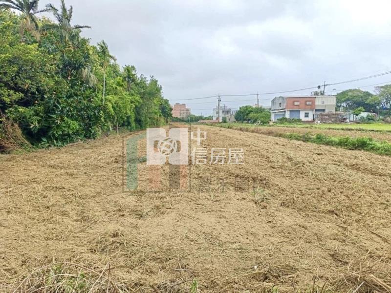 【豐禾】新坡蓮花園區美農保田房屋室內格局與周邊環境