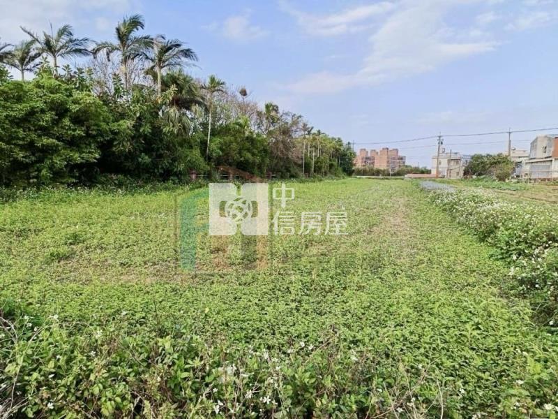 【豐禾】新坡蓮花園區美農保田房屋室內格局與周邊環境