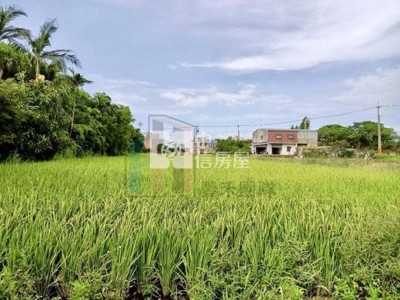 【豐禾】新坡蓮花園區美農保田房屋室內格局與周邊環境