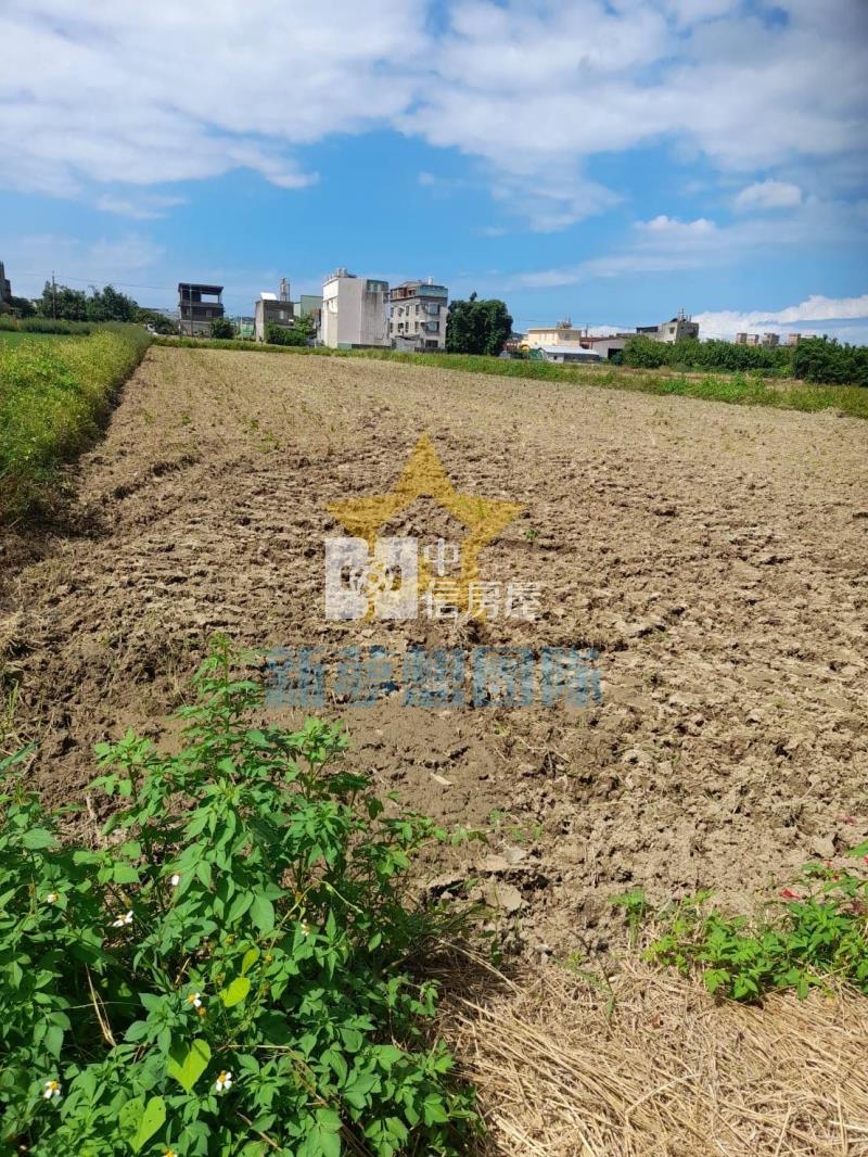 【新夢想】新豐美農地房屋室內格局與周邊環境