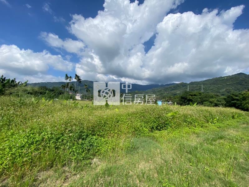 國姓水長流美地房屋室內格局與周邊環境