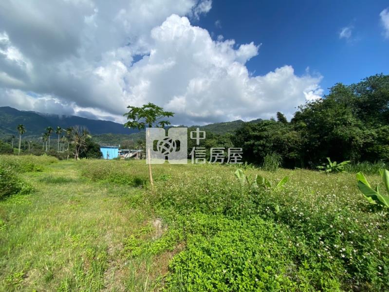 國姓水長流美地房屋室內格局與周邊環境