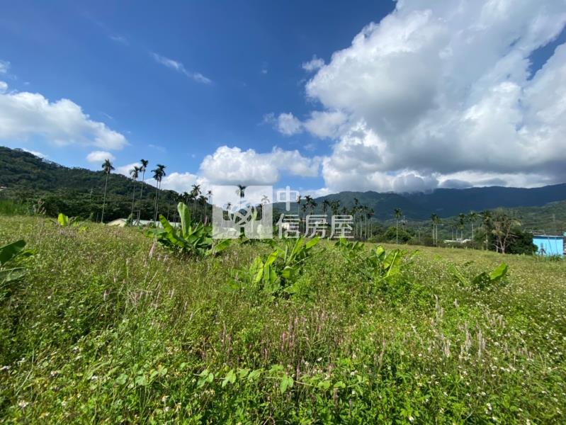 國姓水長流美地房屋室內格局與周邊環境