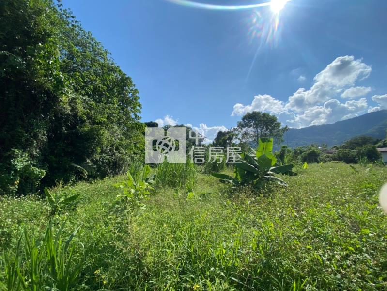 國姓水長流美地房屋室內格局與周邊環境