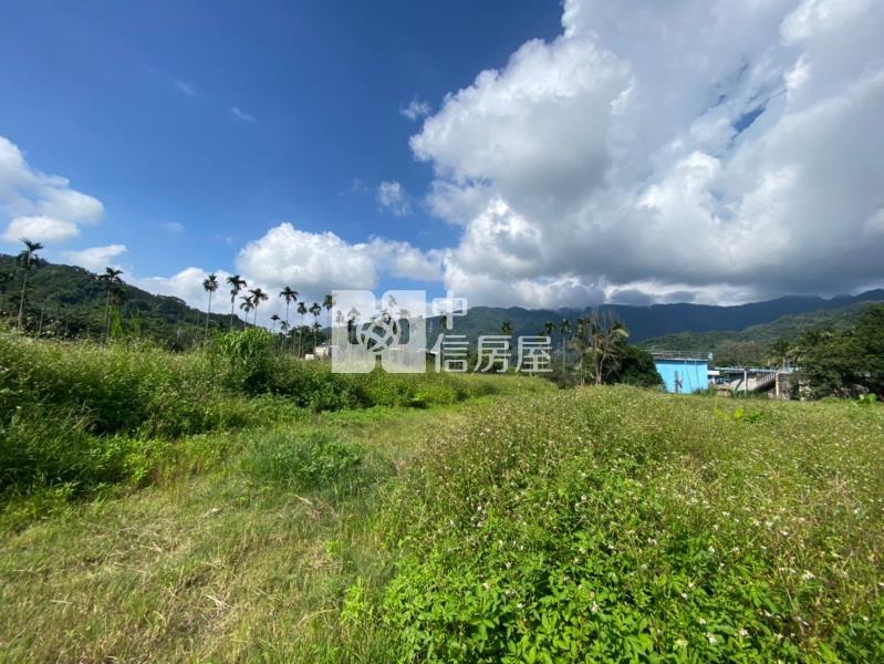 國姓水長流美地房屋室內格局與周邊環境
