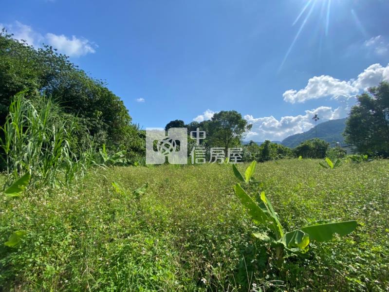 國姓水長流美地房屋室內格局與周邊環境