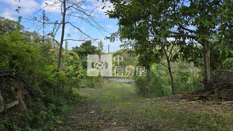 頭份向陽農地房屋室內格局與周邊環境