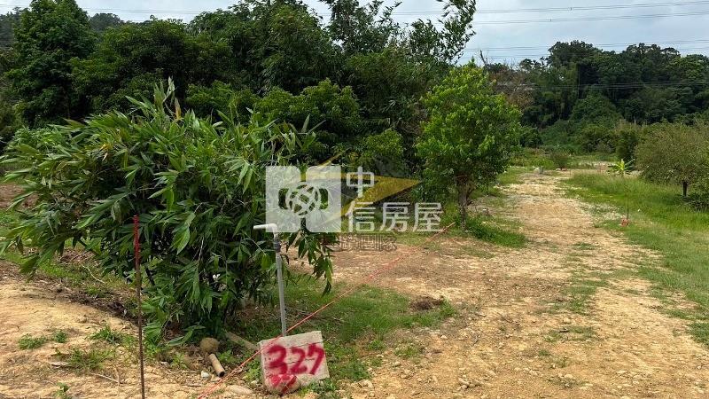 【星鑽】龍潭龍源路農加建房屋室內格局與周邊環境