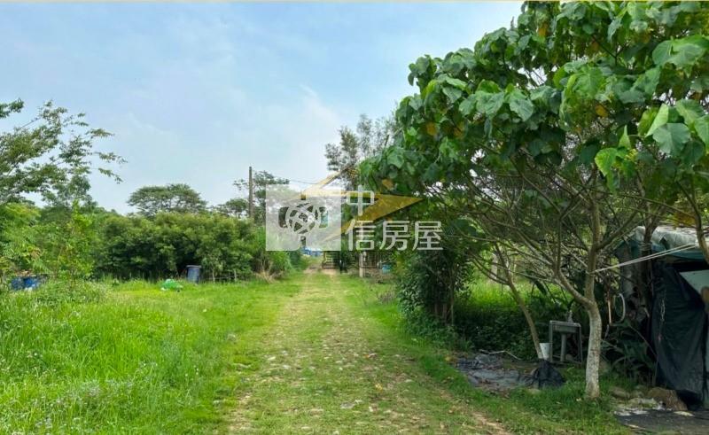 【星鑽】龍潭龍源路農加建房屋室內格局與周邊環境