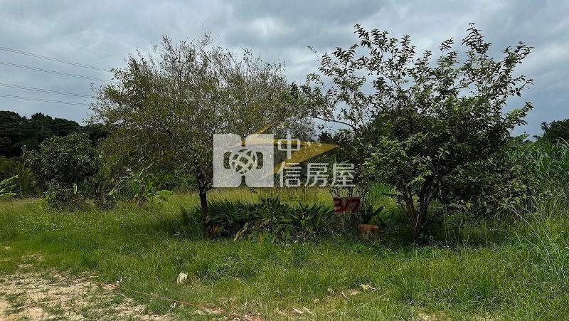 【星鑽】龍潭龍源路農加建房屋室內格局與周邊環境