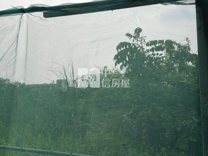 歸仁文化中心旁持分公園用地房屋室內格局與周邊環境