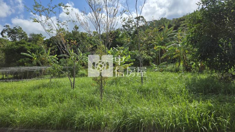 頭份向陽臨路農地房屋室內格局與周邊環境