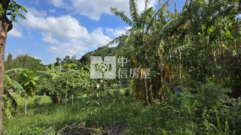 頭份向陽臨路農地房屋室內格局與周邊環境