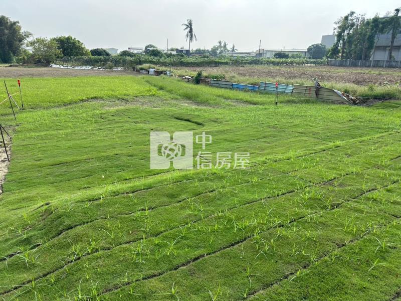 三宅一生都計內農地房屋室內格局與周邊環境