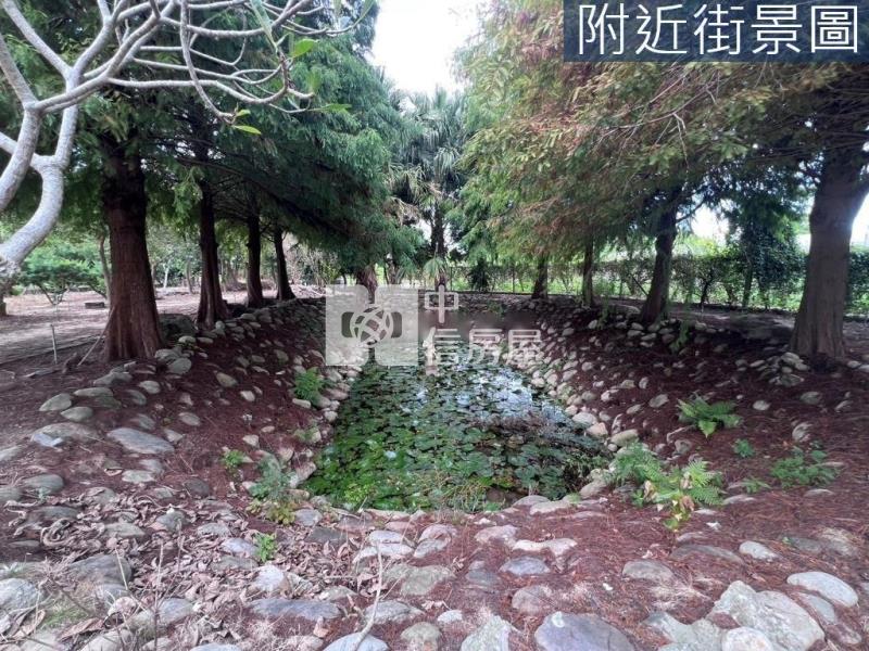 新社櫻花道退休首選千坪度假農地房屋室內格局與周邊環境