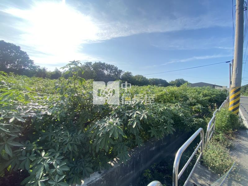 溪州大面寬一般農美田房屋室內格局與周邊環境