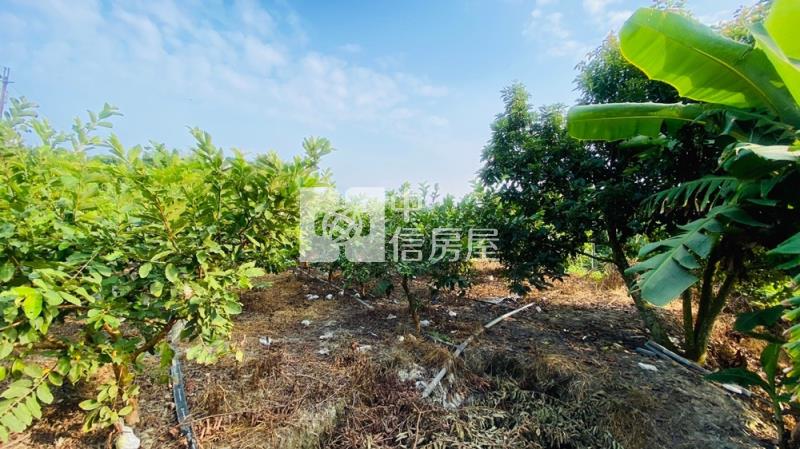 讓我們看雲去～丙種建地房屋室內格局與周邊環境