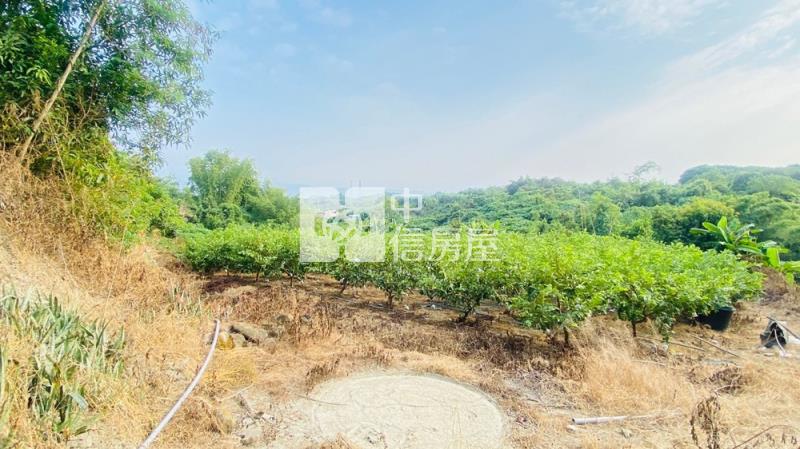 讓我們看雲去～丙種建地房屋室內格局與周邊環境