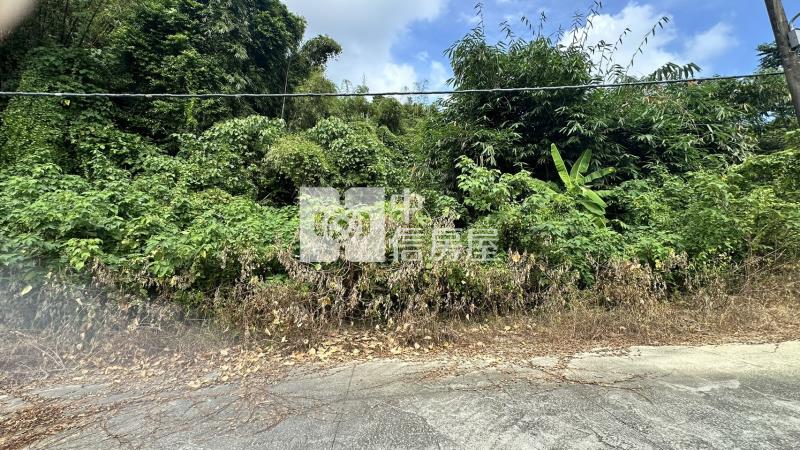 龍崎中坑子段2.6分農地3房屋室內格局與周邊環境