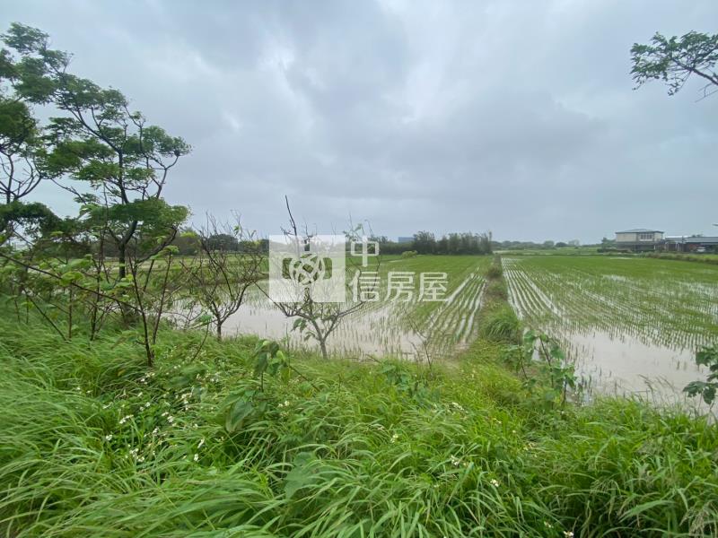 新坡近觀音高中前後臨路方正美農地房屋室內格局與周邊環境