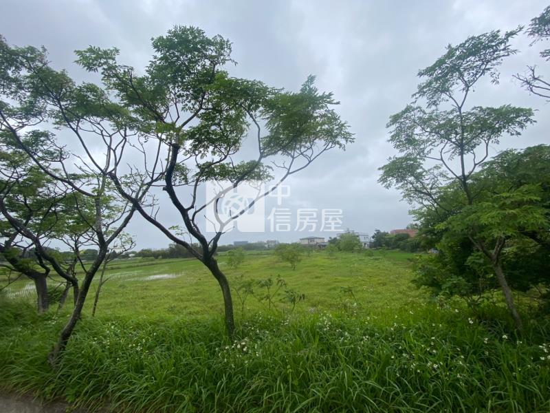 新坡近觀音高中前後臨路方正美農地房屋室內格局與周邊環境