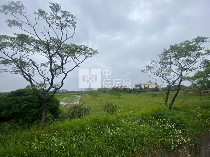 新坡近觀音高中前後臨路方正美農地房屋室內格局與周邊環境