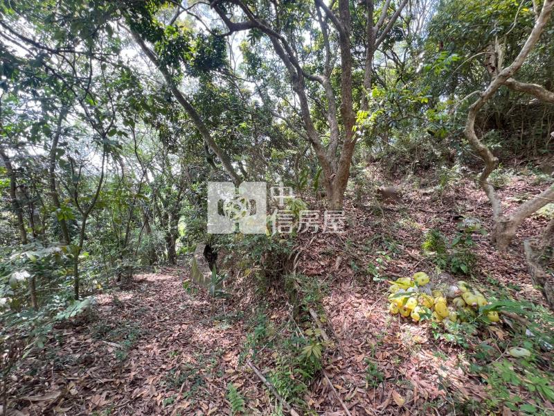 苗栗苑裡農加丙建房屋室內格局與周邊環境
