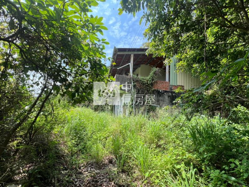 苗栗苑裡農加丙建房屋室內格局與周邊環境