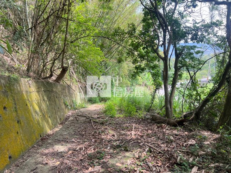 苗栗苑裡農加丙建房屋室內格局與周邊環境