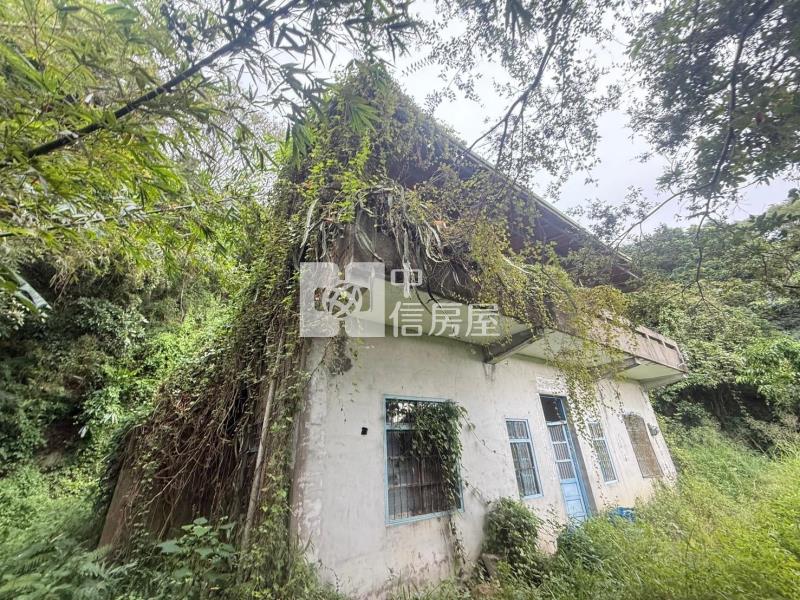 苗栗苑裡農加丙建房屋室內格局與周邊環境