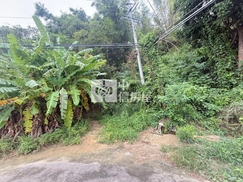 苗栗苑裡農加丙建房屋室內格局與周邊環境