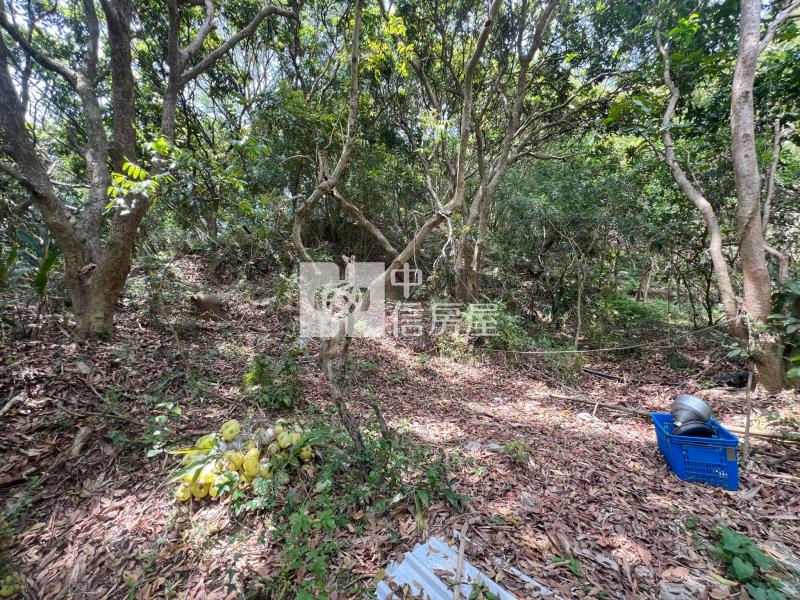 苗栗苑裡農加丙建房屋室內格局與周邊環境
