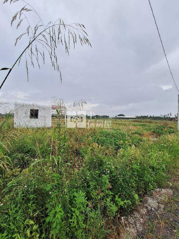 萬巒鹿寮農地(一)房屋室內格局與周邊環境