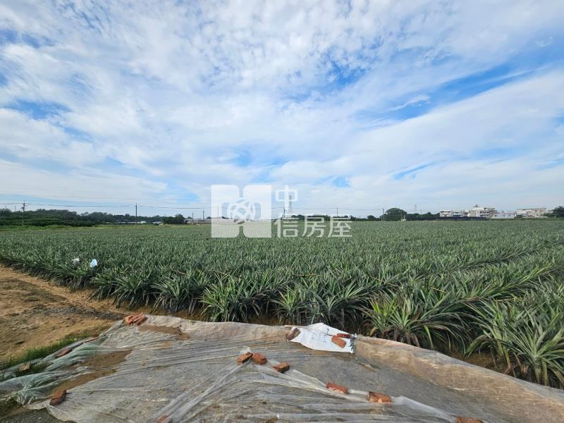 近山上水道博物館旁一般美農地1房屋室內格局與周邊環境