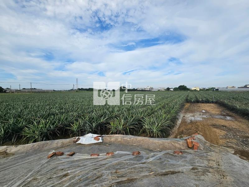 近山上水道博物館旁一般美農地1房屋室內格局與周邊環境