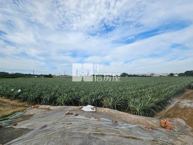 近山上水道博物館旁一般美農地1房屋室內格局與周邊環境