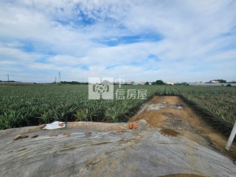 近山上水道博物館旁一般美農地1房屋室內格局與周邊環境