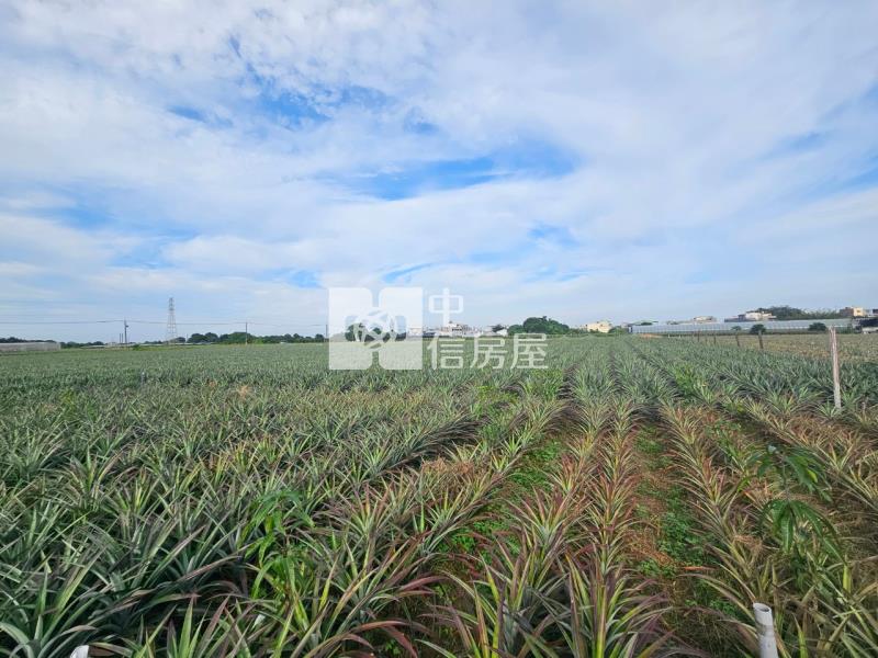 近山上水道博物館旁一般美農地2房屋室內格局與周邊環境