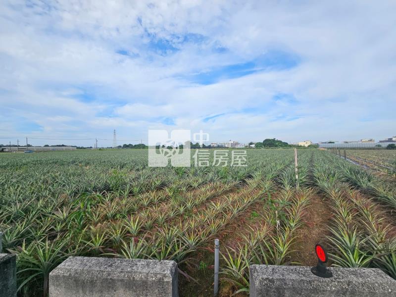 近山上水道博物館旁一般美農地2房屋室內格局與周邊環境