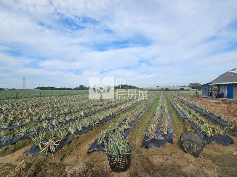 近山上水道博物館旁一般美農地3房屋室內格局與周邊環境