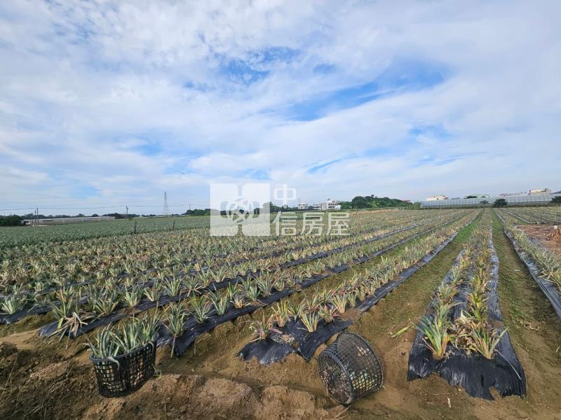 近山上水道博物館旁一般美農地3房屋室內格局與周邊環境
