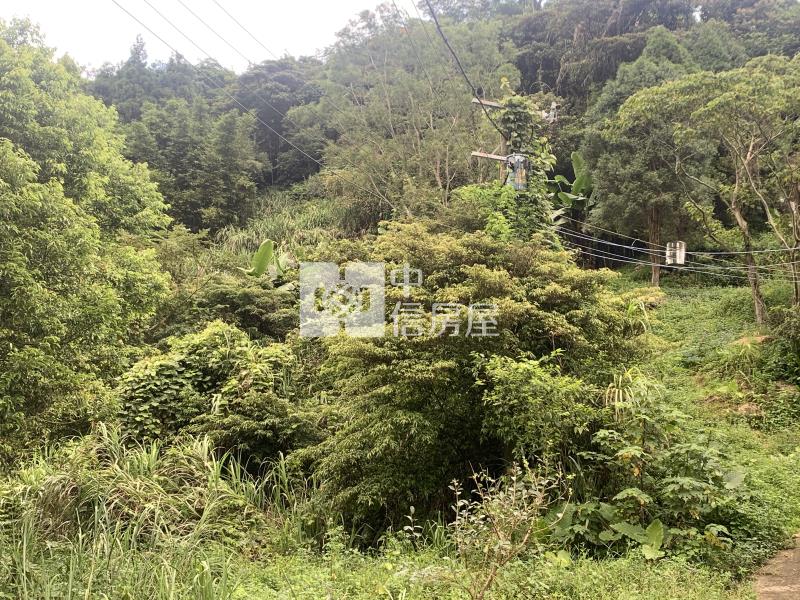 新竹縣尖石鄉原保地房屋室內格局與周邊環境