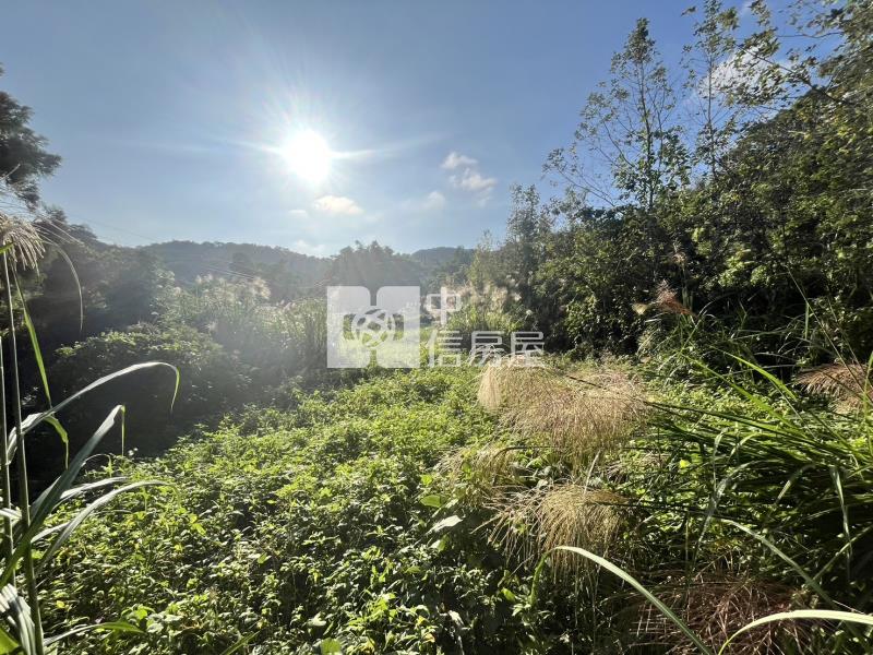 新社雙翠潭旁雙面臨路農地房屋室內格局與周邊環境